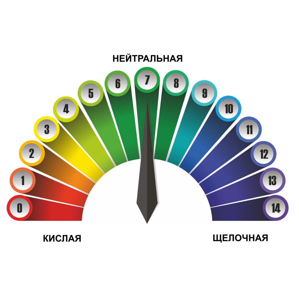 Ошелачивание организма