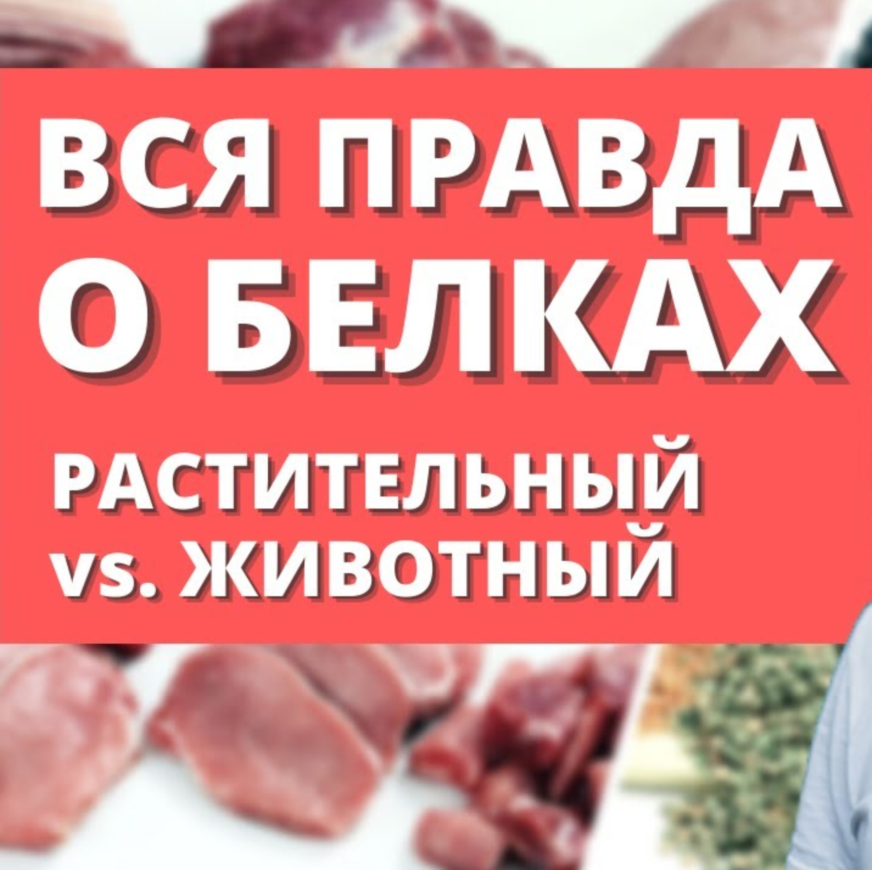 Белки - вся правда. Растительные и животные белки