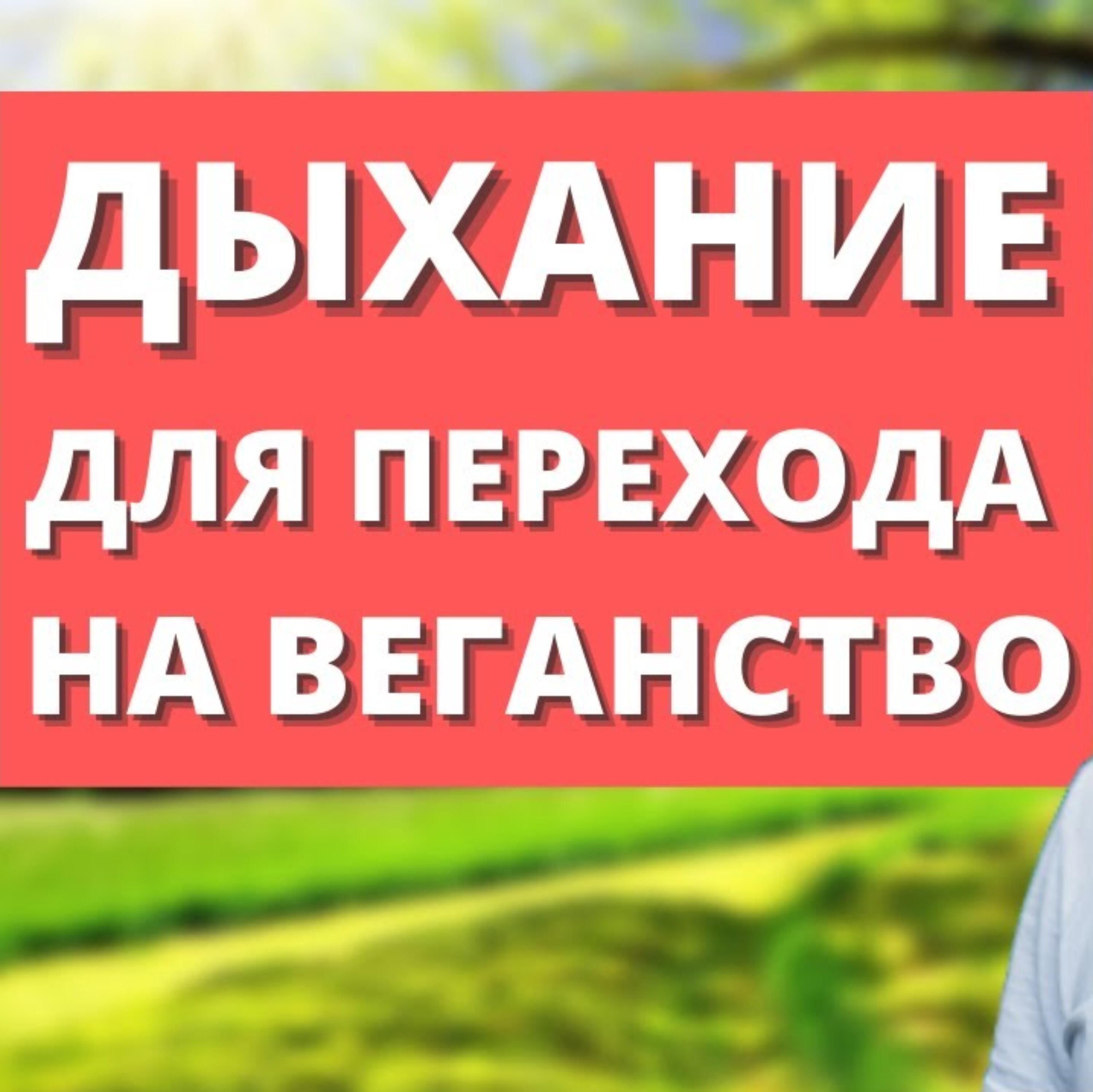 Дыхание и растительное питание. Взаимосвязь.