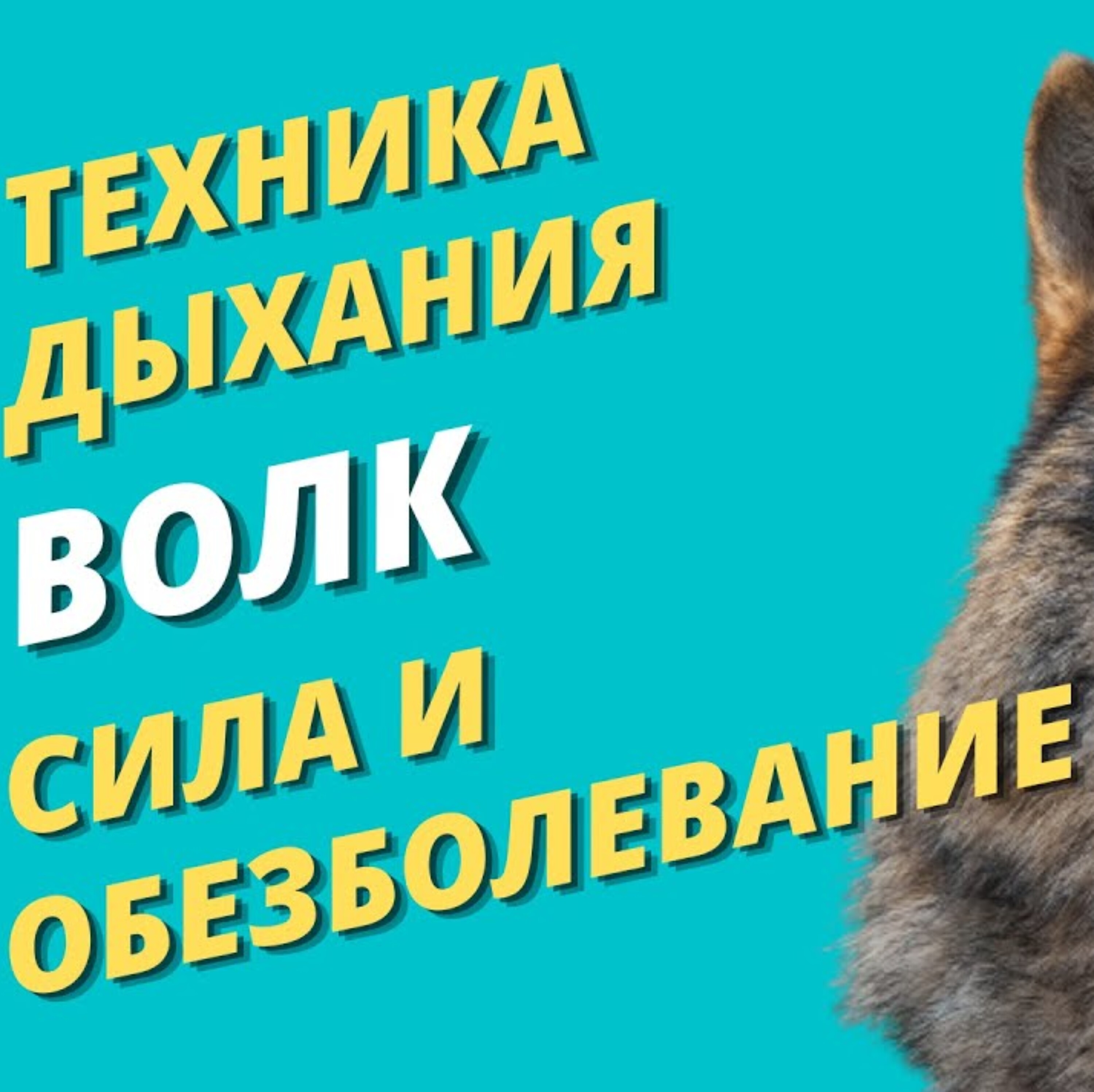 Нервная система — эффективная техника управления